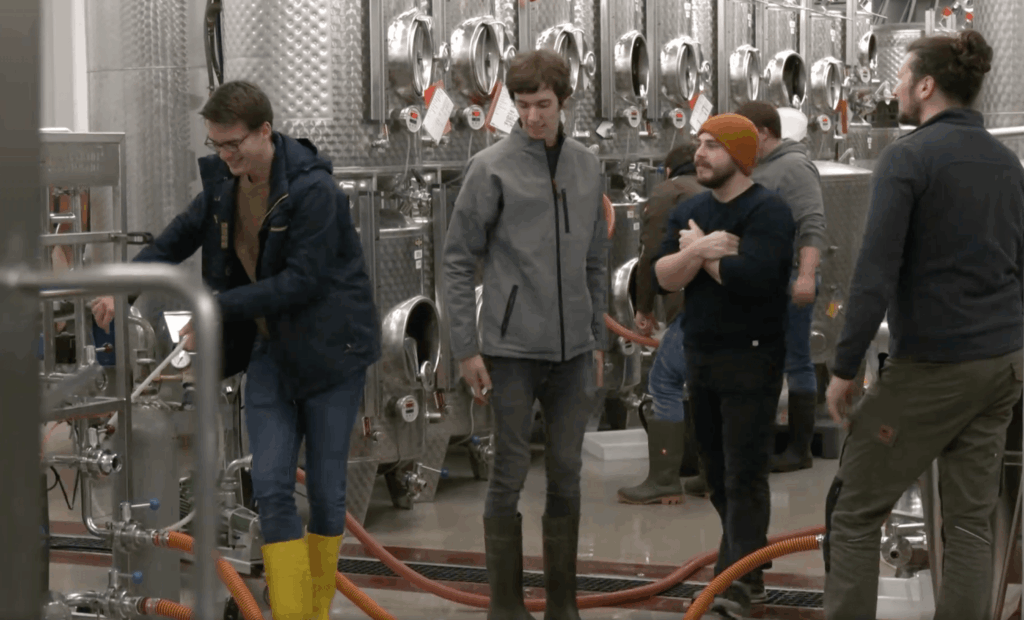 Arbeit im Weinkeller